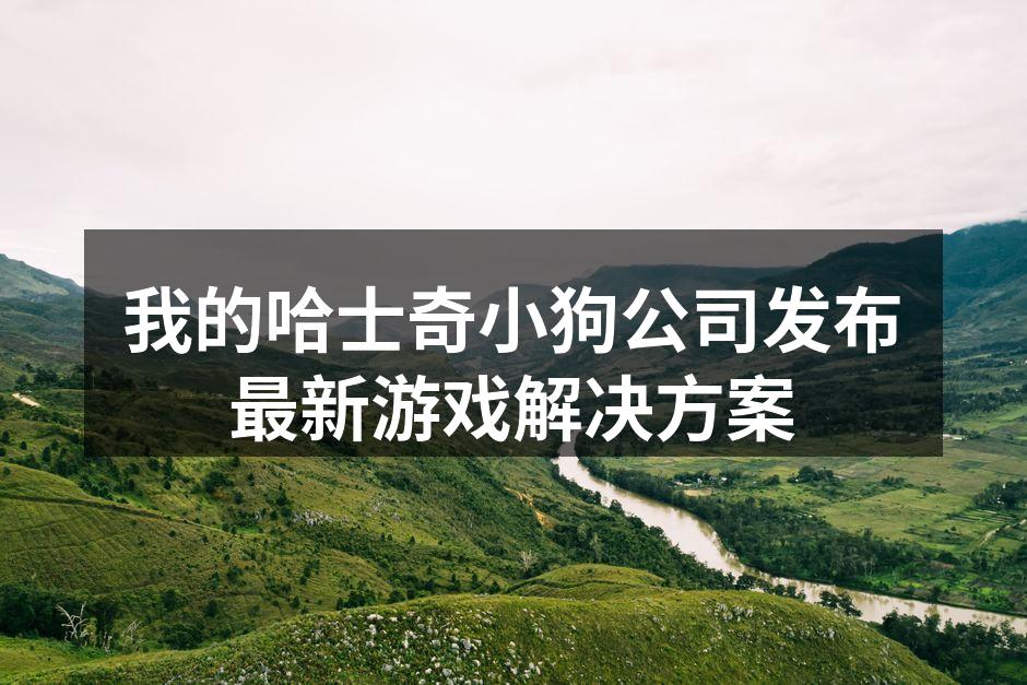 我的哈士奇小狗公司发布最新游戏解决方案