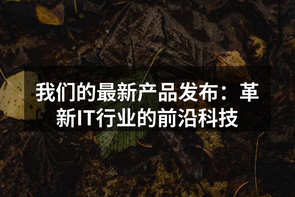 我们的最新产品发布：革新IT行业的前沿科