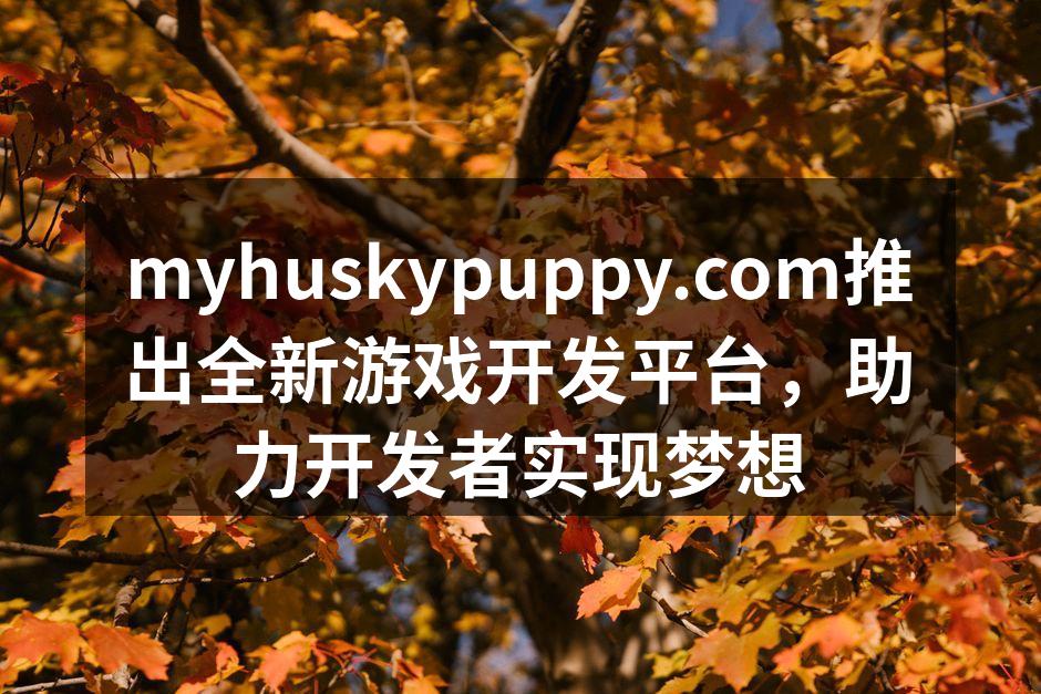 全新游戏开发平台界面展示